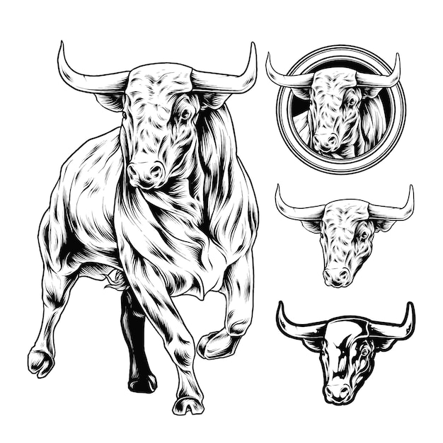 Vector a drawing of a bull with a bull on it