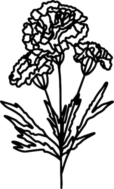 a drawing of a bunch of flowers that is drawn on a white background