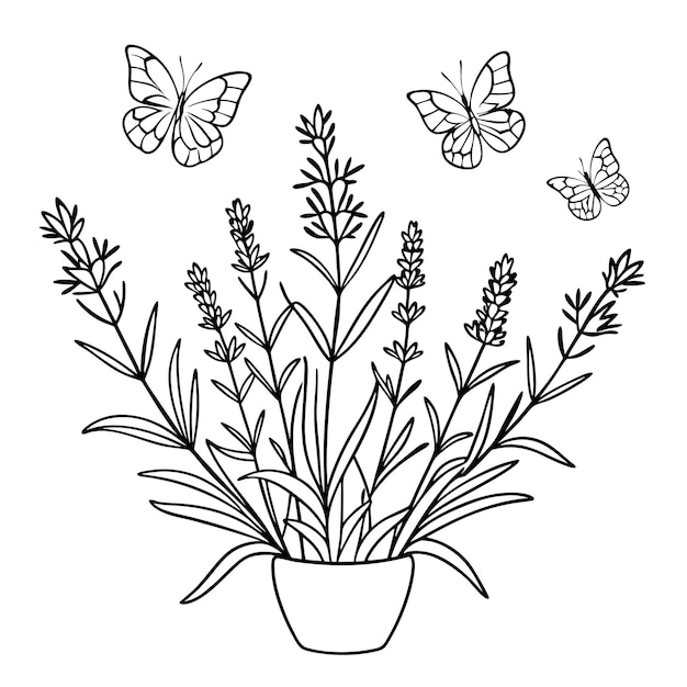 Vector a drawing of butterflies and flowers in a vase with butterflies