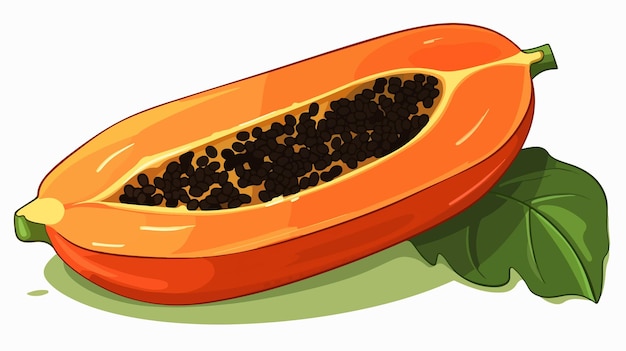 Vector a drawing of a carrot with black seeds on it