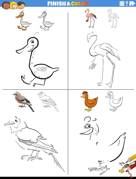 Drawing and coloring worksheets set with comic birds