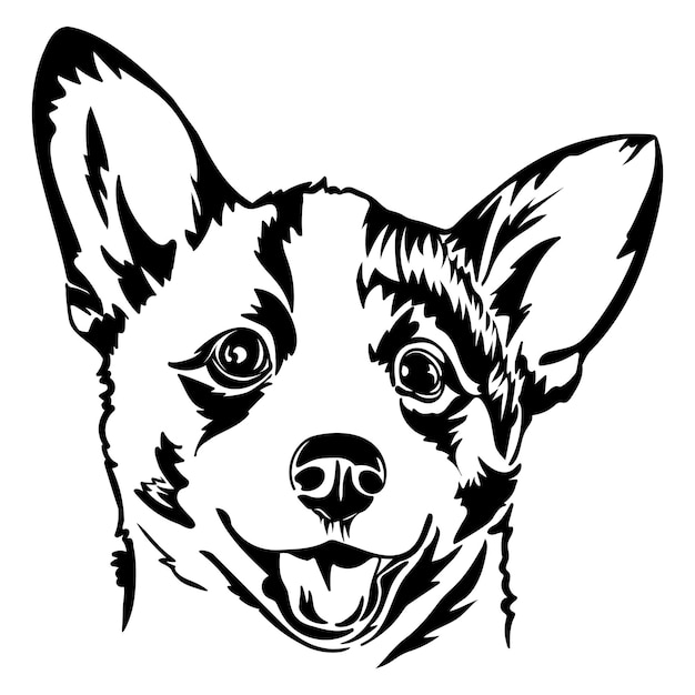 Drawing of Corgi dog portrait