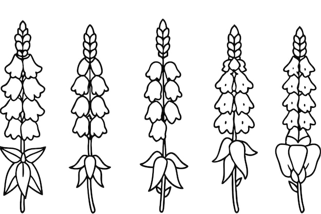 a drawing of corn stalks with the words wheat on it