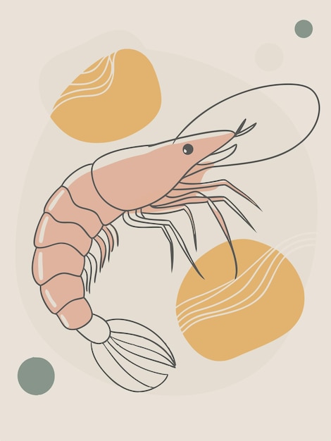 Vector a drawing of a crayfish with eggs and eggs