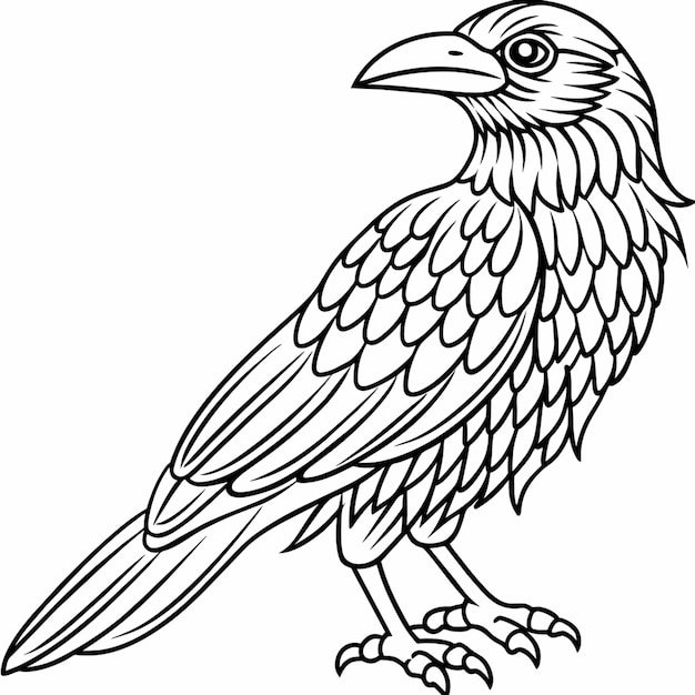 Vector a drawing of a crow with a white background that says  raven