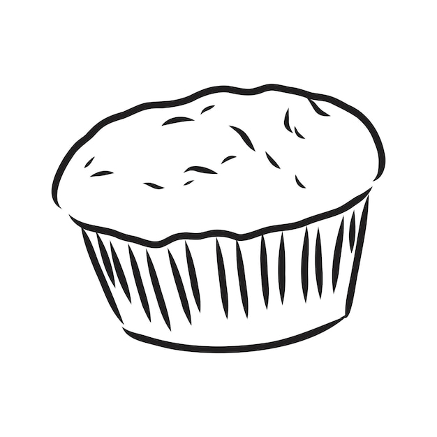 Drawing of a cup cake cupcake vector sketch