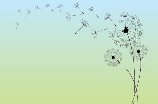 Vector a drawing of a dandelion with a green background with dandelions