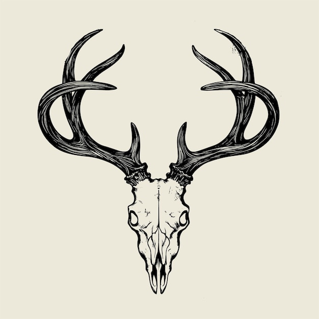 a drawing of a deer head with antlers