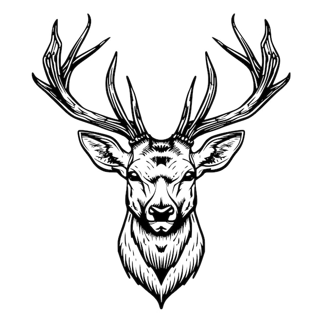 a drawing of a deer head with antlers