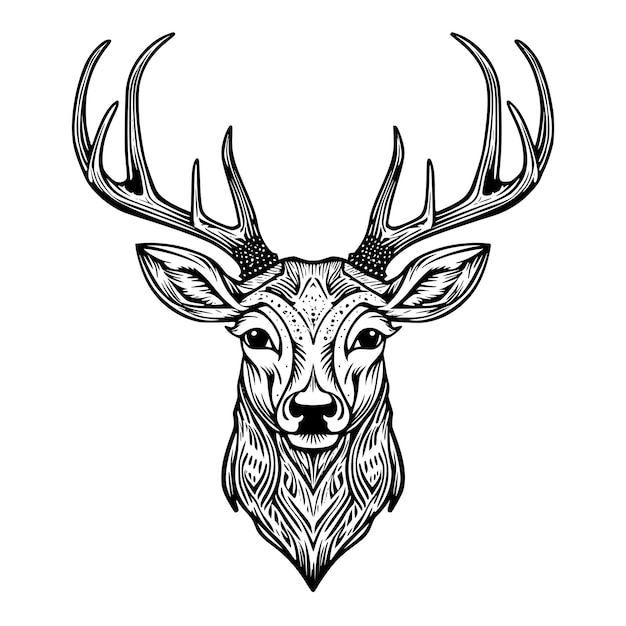 a drawing of a deer head with antlers