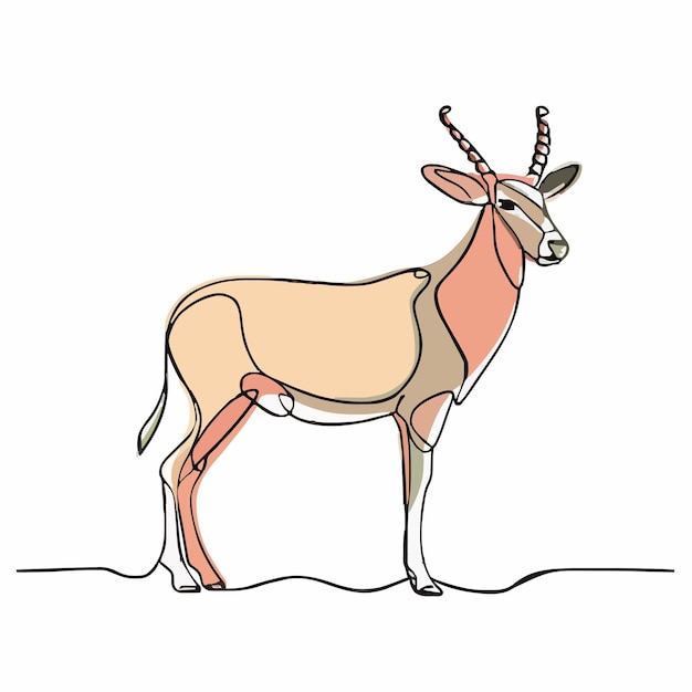 a drawing of a deer with antlers and horns