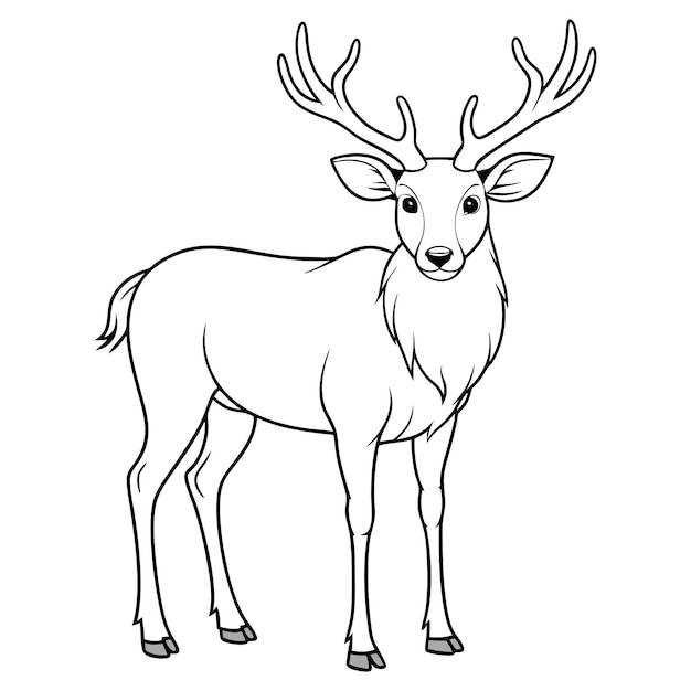 Vector a drawing of a deer with antlers on it