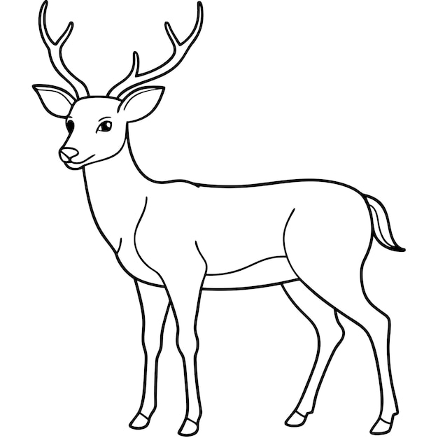 Vector a drawing of a deer with a white background that says quot deer quot