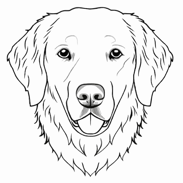 Vector a drawing of a dog that has a white face and a black and white background