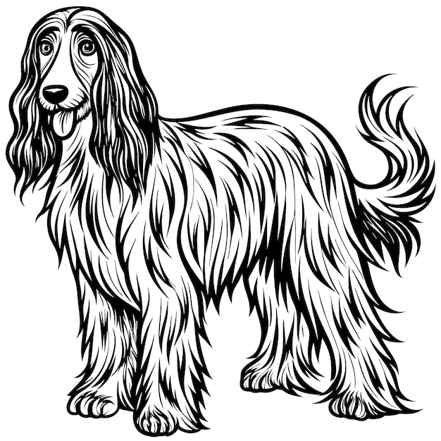 Vector a drawing of a dog that has the word  the word  on it