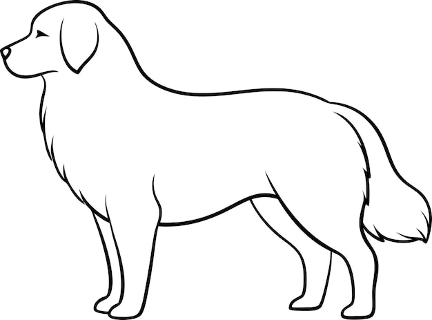 Vector a drawing of a dog with a long tail vector line art