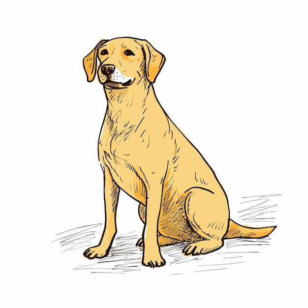 Vector a drawing of a dog with a yellow lab on it