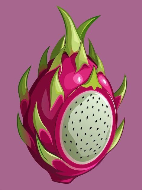 Vector a drawing of a dragon fruit with a pink and green flower