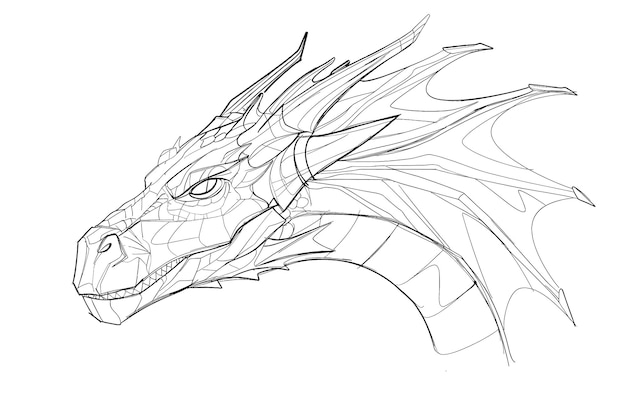 Vector a drawing of a dragon made by the company of the dragon