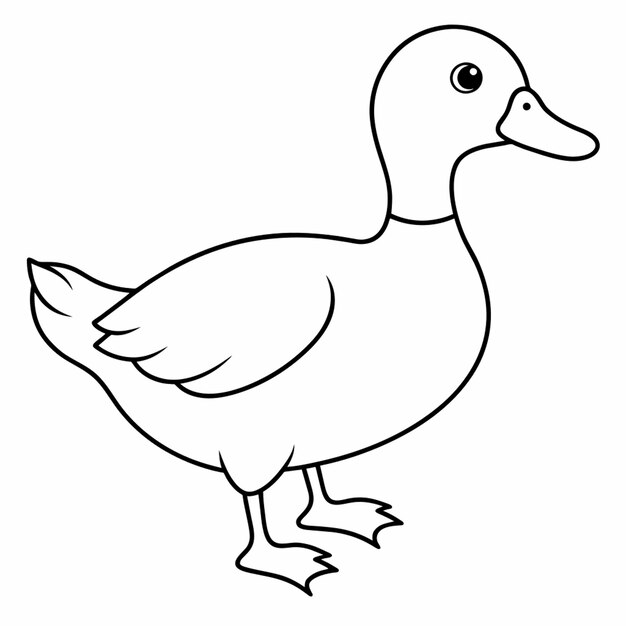 Vector a drawing of a duck that has a yellow beak