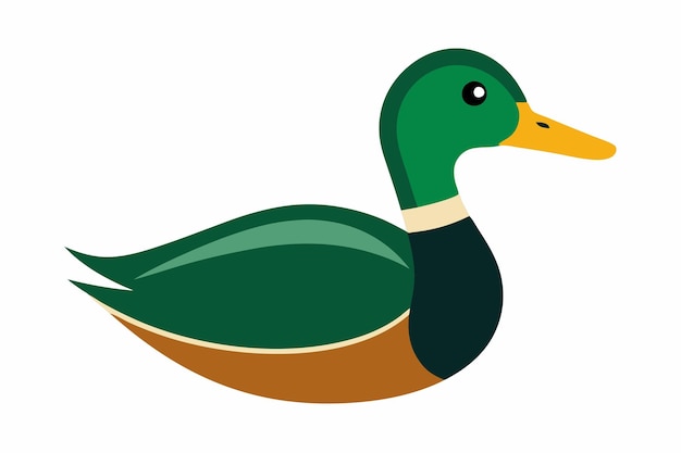 a drawing of a duck with a green head and a white background