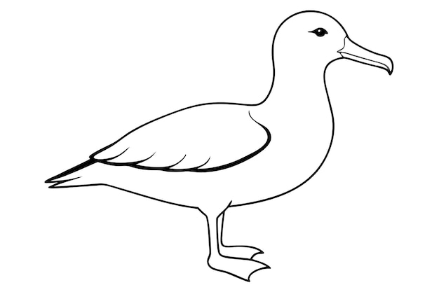 a drawing of a duck with a long beak