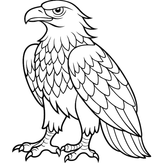 Vector a drawing of a eagle with a black outline