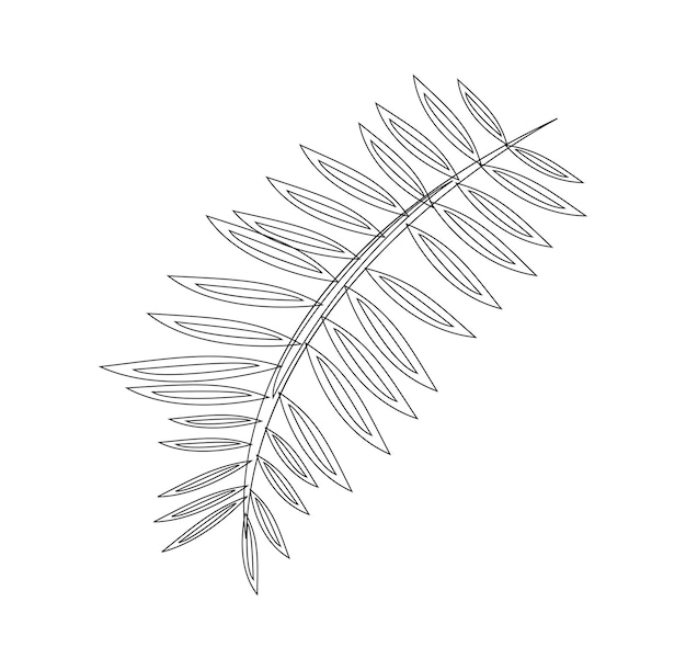 Vector a drawing of a feather with a feather on it