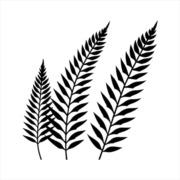 a drawing of a fern with the word fern on it