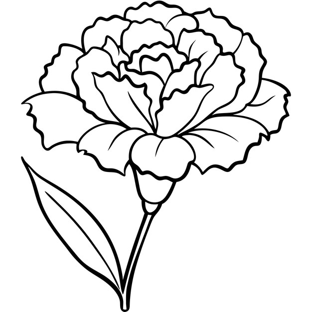 Vector a drawing of a flower with a drawing of a flower