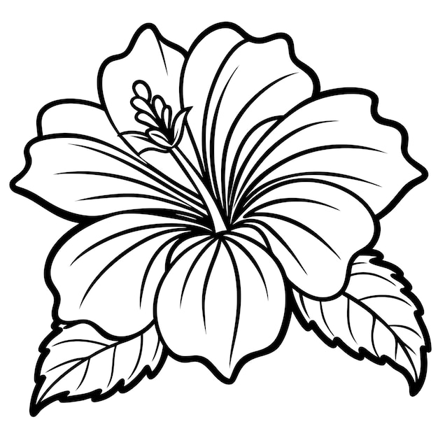 Vector a drawing of a flower with a large flower on it