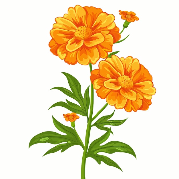 a drawing of a flower with orange petals