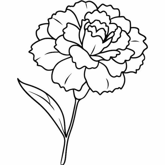 Vector a drawing of a flower with a white border