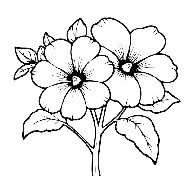 a drawing of a flower with the word hibiscus on it