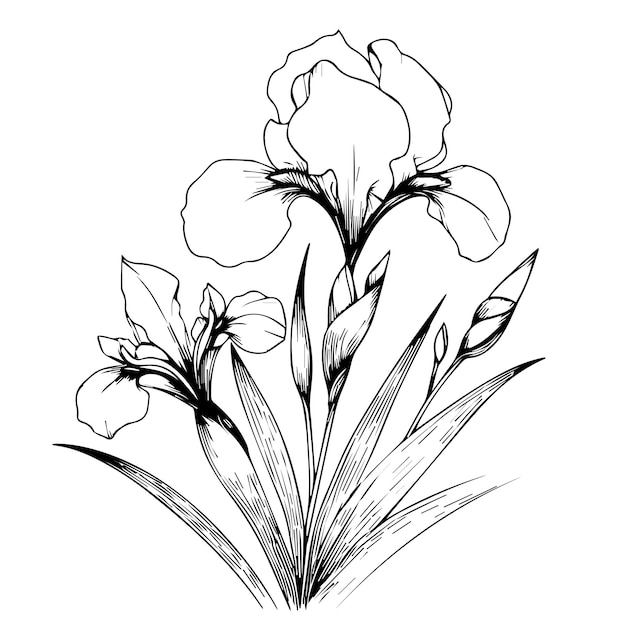 a drawing of a flower with the word  spring  on it