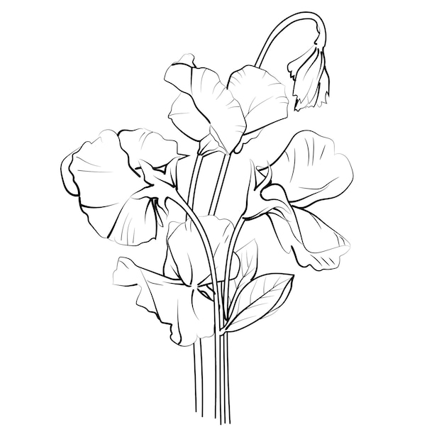 a drawing of a flower with the word  tulip  on it