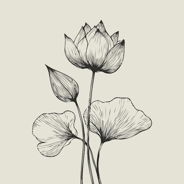 a drawing of a flower with the words quot tulips quot on it