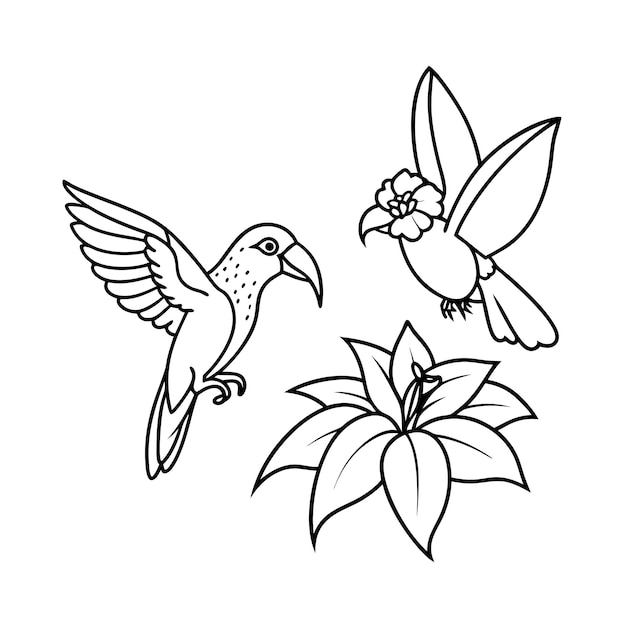 Vector a drawing of flowers and birds with flowers and butterflies