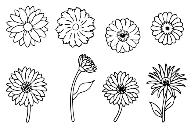 Vector a drawing of flowers and a leaf with a white background