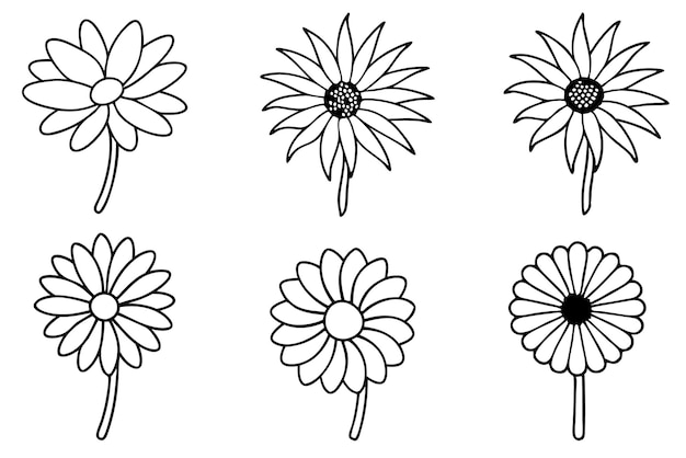 Vector a drawing of flowers on a white background with a black outline