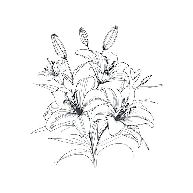 a drawing of flowers with the words quot lily quot on it