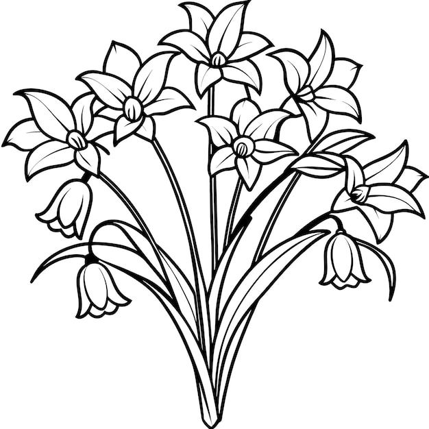 a drawing of flowers with the words quot lily quot on it