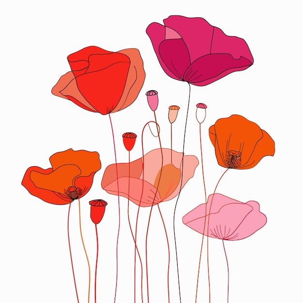 a drawing of flowers with the words poppies on it