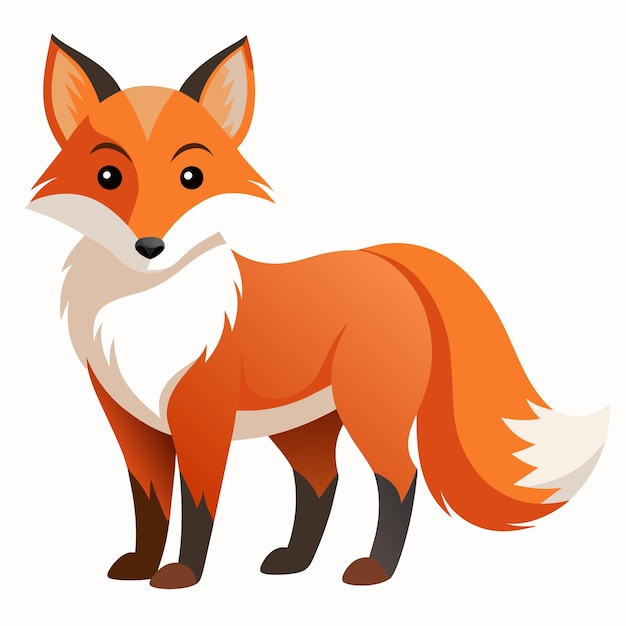 a drawing of a fox with a white patch on the front