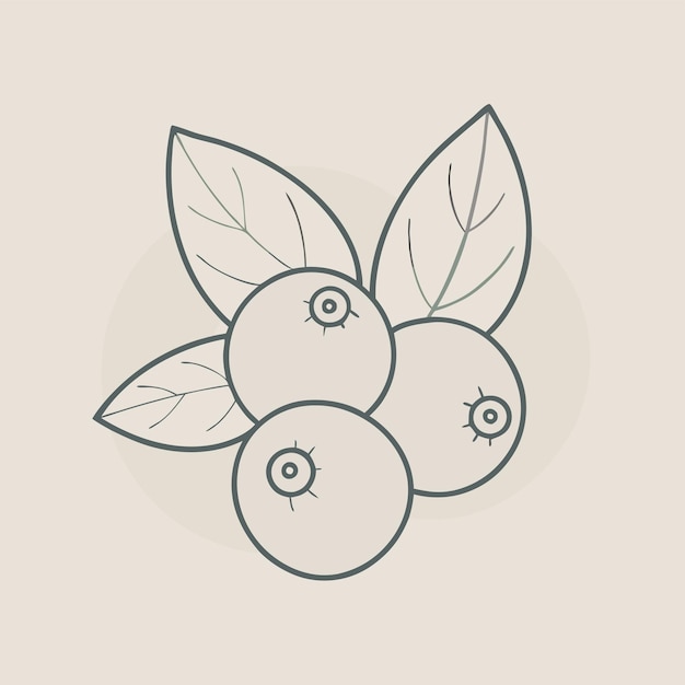 Vector a drawing of a fruit with the number 3 on it