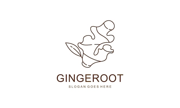 a drawing of a ginger ginger plant on a white background