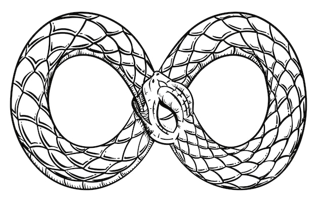 Drawing of a gluttonous snake eating its tail in a infinite loop representing the ouroboros symbol Artistic design in hand drawn style