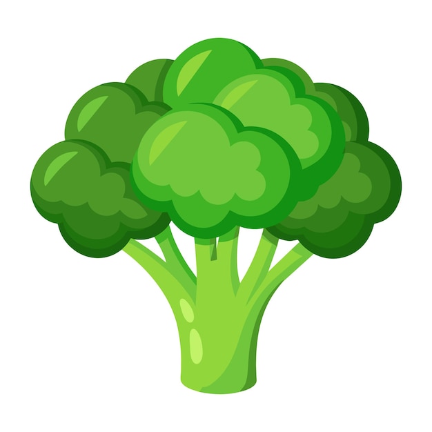 a drawing of a green broccoli with a white background