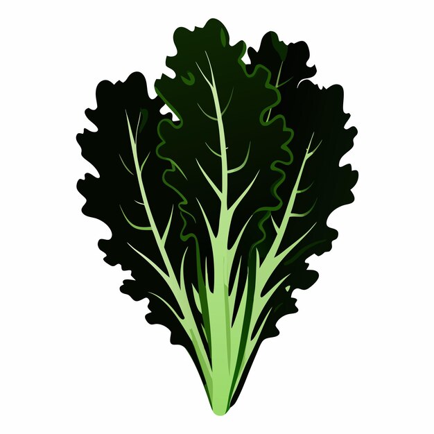 Vector a drawing of a green leafy vegetable with the word broccoli on it