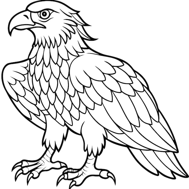 Vector a drawing of a hawk with a white background